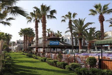 PARKIM AYAZ HOTEL Bars