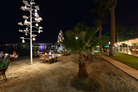 PARKIM AYAZ HOTEL Restaurants