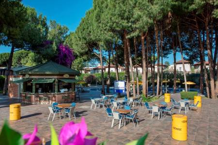 PINE BEACH BELEK Bars