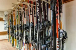 PLATINUM HOTEL - CASINO BANSKO Activities
