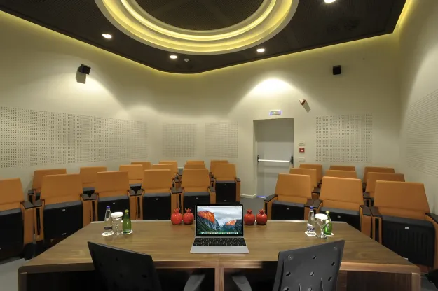POMEGRANATE WELLNESS SPA HOTEL Meetings