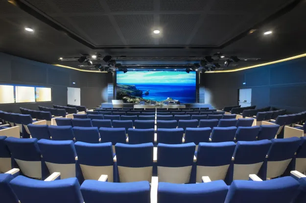 POMEGRANATE WELLNESS SPA HOTEL Meetings