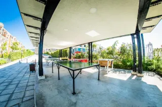 PREMIER FORT BEACH HOTEL Activities