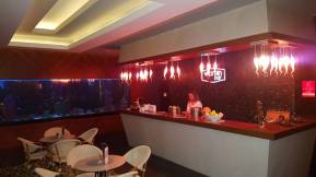 RAMADA PLAZA Bars