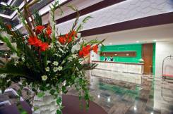 RAMADA PLAZA Lobby