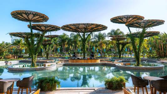 REGNUM CARYA Bars