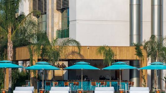 REGNUM CARYA Bars