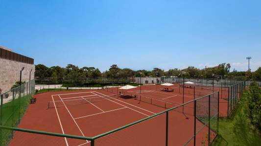 REGNUM CARYA Activities