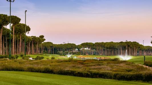 REGNUM CARYA Activities