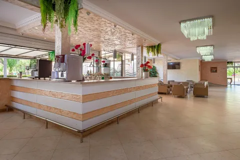 RIVA PARK HOTEL Bars