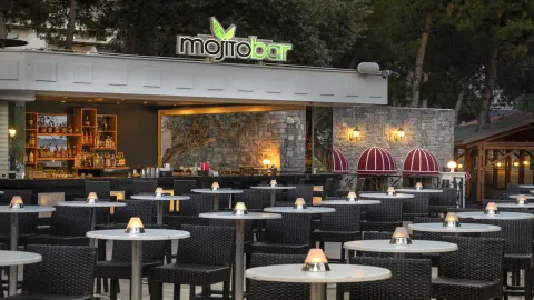 RIXOS PREMIUM BODRUM Bars