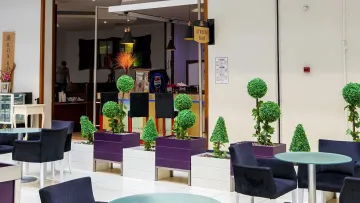 ROX RESORT HOTEL Lobby