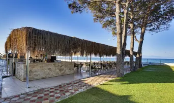 ROYAL BEACH HOTEL Bars