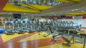ROYAL DRAGON Activities