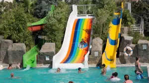 ROYAL DRAGON Activities