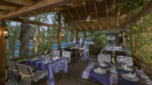 ROYAL DRAGON Restaurants