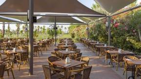 ROYAL SEGINUS Restaurants