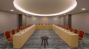 ROYAL SEGINUS Meetings