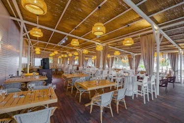 RUBI PLATINUM SIGN Restaurants