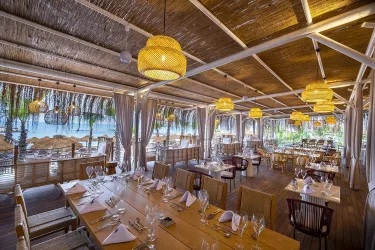 RUBI PLATINUM SIGN Restaurants