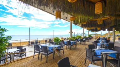 SEASHELL VEGA (ex. SIDE CROWN SUNSHINE) Restaurants
