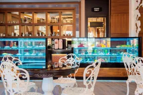 SIDE ALEGRIA HOTEL ADULT ONLY 18+ Bars