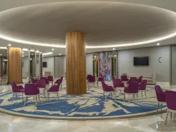 SIDE STAR ELEGANCE Meetings