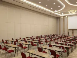 SIDE STAR ELEGANCE Meetings