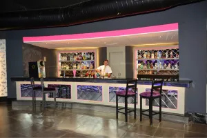 SIDE STAR RESORT Bars