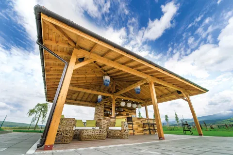 SPA KOMPLEKS BELCHINSKI IZVOR Bars