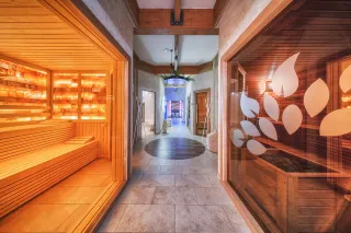 SPA KOMPLEKS BELCHINSKI IZVOR Spa