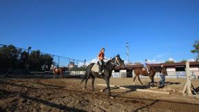 STARLIGHT RESORT HOTEL Activities