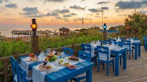 STARLIGHT RESORT HOTEL Restaurants
