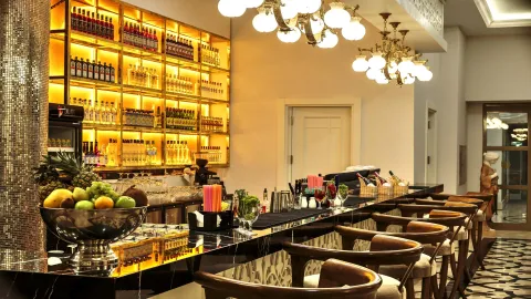 SUNIS EFES ROYAL PALACE RESORT Bars