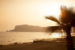 SUNPRIME C-LOUNGE ADULT ONLY 16+ Pools & Beach