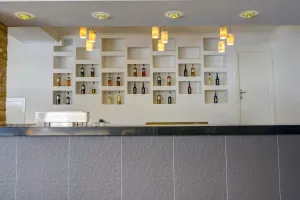 TAC PREMIER HOTEL-SPA Bars