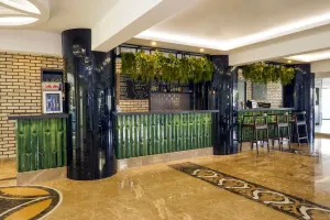 TAC PREMIER HOTEL-SPA Bars