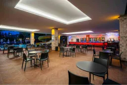 TELATIYE RESORT Bars
