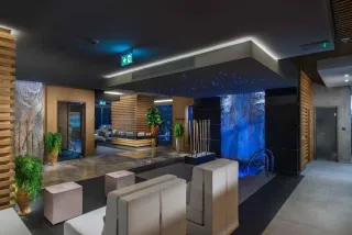 THE PALACE HOTEL Spa