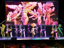 MARDAN PALACE Activities