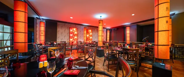 TRENDY ASPENDOS BEACH Bars