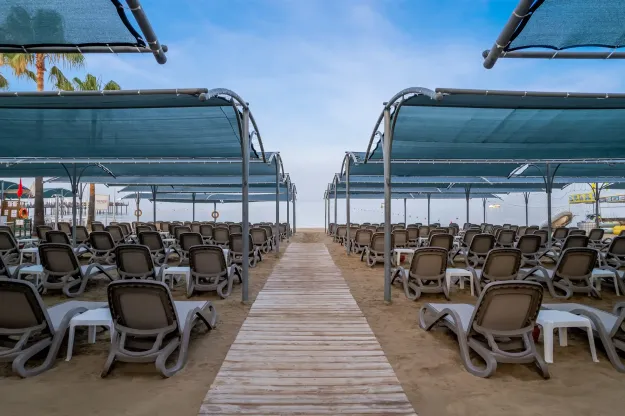TRENDY PALM BEACH Pools & Beach