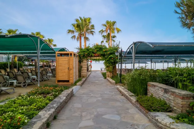 TRENDY PALM BEACH Pools & Beach