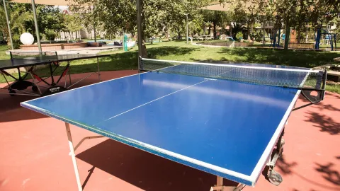 TUI BLUE PALM GARDEN Activities