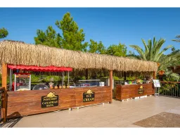 UTOPIA WORLD HOTEL Bars