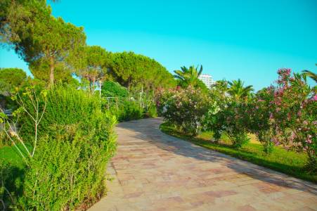 VENOSA BEACH RESORT AND SPA General Images