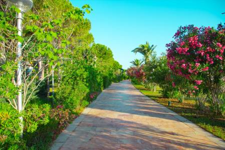 VENOSA BEACH RESORT AND SPA General Images