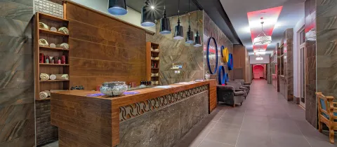 WELL PALACE SIDE Spa