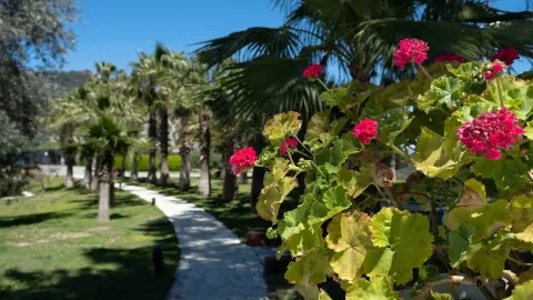X LIFE HOTEL SARIGERME ADULTS ONLY 15+ General Images