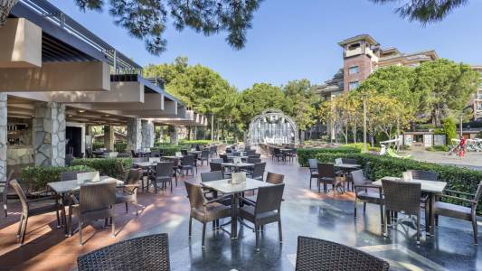 XANADU RESORT Bars